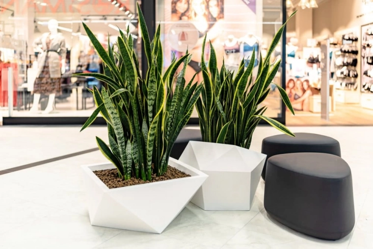 Viegla kopšana un universāls pielietojums