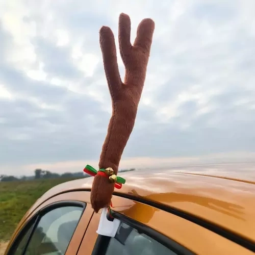 Ragi ar Ziemassvētku dizainu