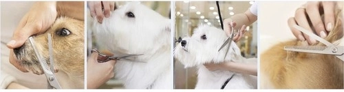 Profesionāla ergonomika un vienmērīga darbība