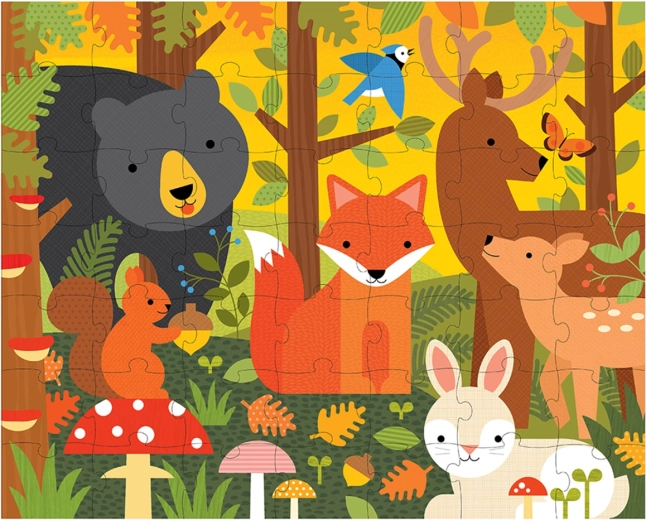 Cute illustrations of forest animals