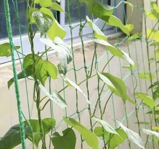 Izturīgs materiāls ar pastiprinātiem savienojumiem