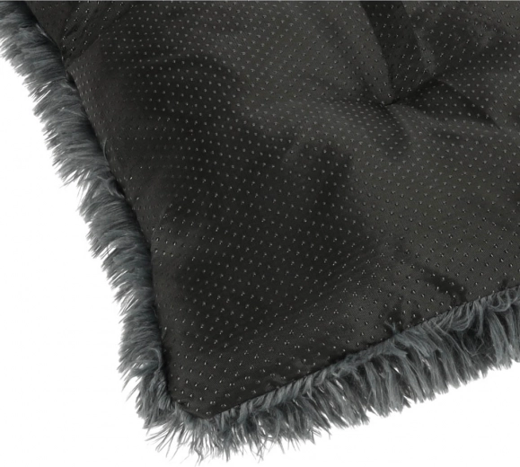 Pretbīdīšanas stabilitāte