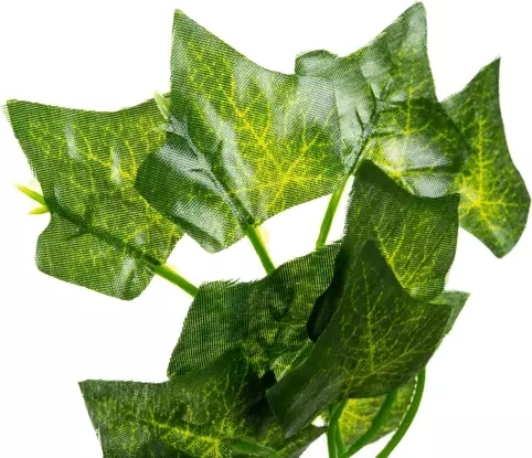 Ilgmūžīga dekorācija