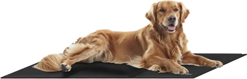 XXL izmērs – komforts jebkurai šķirnei!