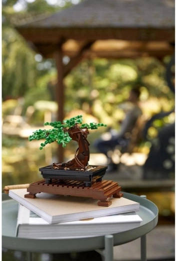 Radoša būvēšana pieaugušajiem