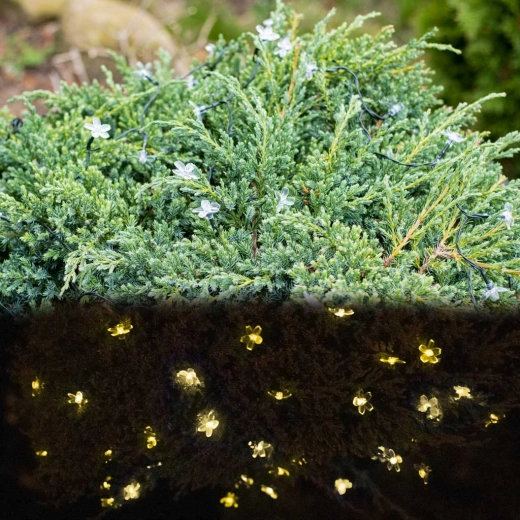 Vienkārša uzstādīšana