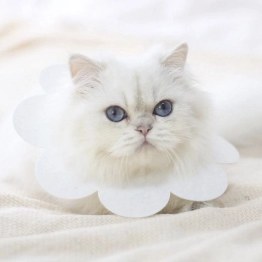 Komfortabla nēsāšana