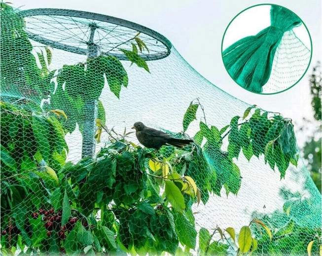 Nepamanāma un dabīgi saskaņota zaļā krāsa