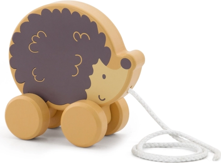 Veicina motorikas prasmes