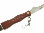 Folding mushroom knife with brush