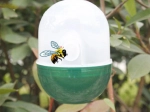 TORO Plastic Wasp Trap