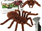 Radiovadāms sacīkšu tarantuls ar mirgojošām acīm