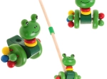 Koka stumjamā vardīte uz kāta